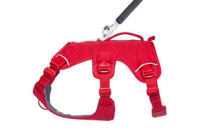 Redesigned 2025! Ruffwear Web Master Dog Harness - Secure, Back Handle, Neck Buckle
