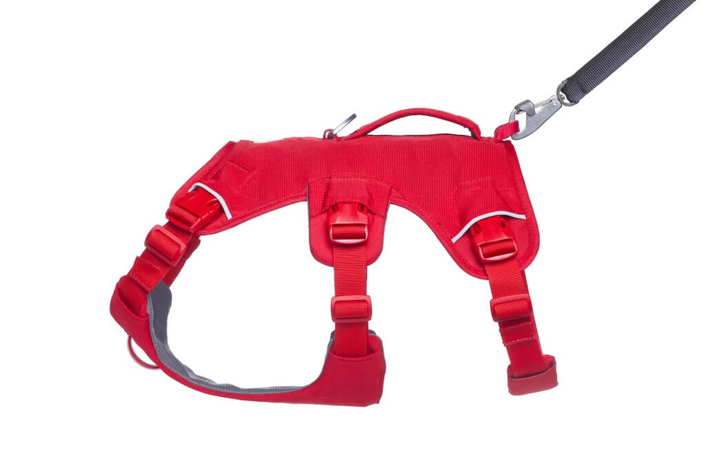 Redesigned 2025! Ruffwear Web Master Dog Harness - Secure, Back Handle, Neck Buckle