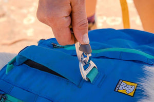 Approach Dog Backpack - Day Hiking & Overnight Adventures