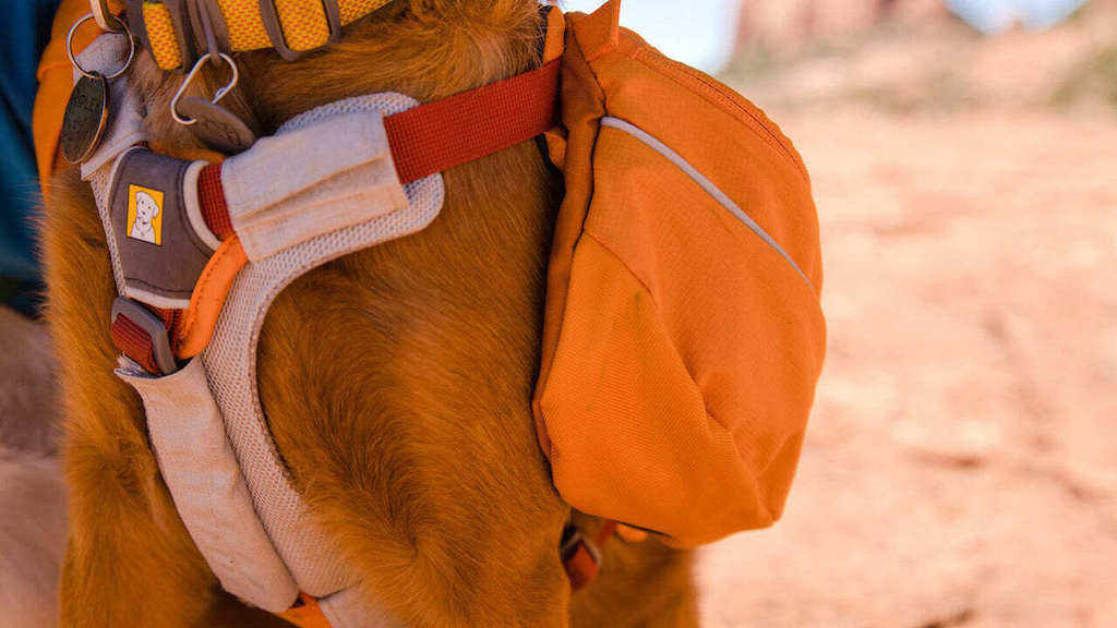 Approach Dog Backpack - Day Hiking & Overnight Adventures
