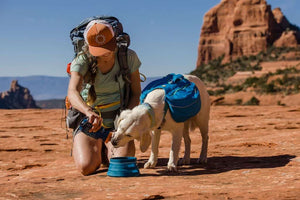 Approach Dog Backpack - Day Hiking & Overnight Adventures