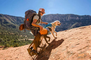 Approach Dog Backpack - Day Hiking & Overnight Adventures