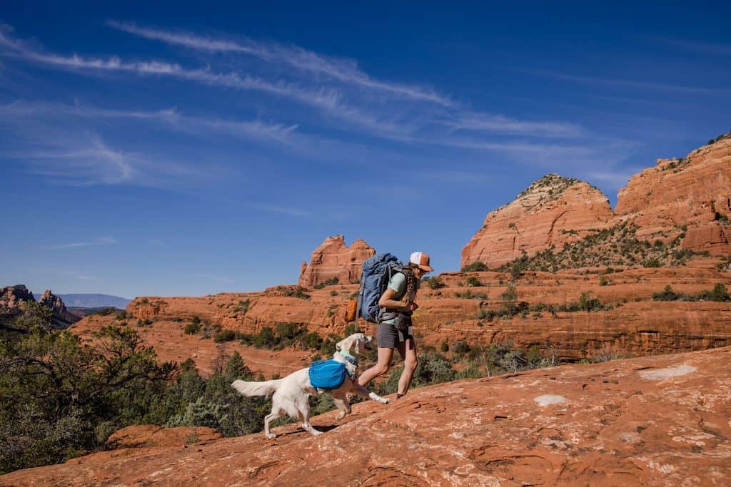 Approach Dog Backpack - Day Hiking & Overnight Adventures