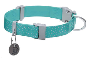 Ruffwear Confluence Dog Collar in Aurora Teal backside