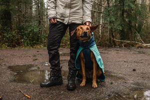 Dirtbag Dog Drying Towel - Post-Adventure, Absorbent Dog Coat