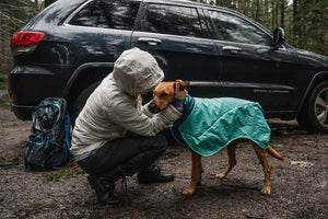 Dirtbag Dog Drying Towel - Post-Adventure, Absorbent Dog Coat