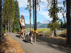 Double Track Coupler - Adapt a Leash to Walk Two Dogs