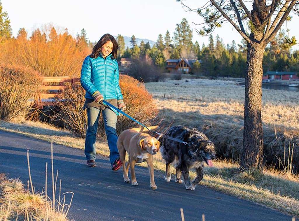 Double Track Coupler - Adapt a Leash to Walk Two Dogs