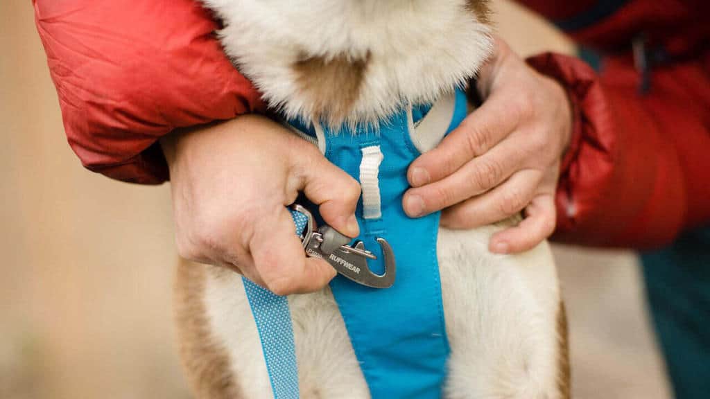 Ruffwear Flagline Dog Harness Close Up of Front Leash Clip