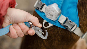 Close up of the lockable Crux Clip on the Ruffwear Flagline Dog Leash
