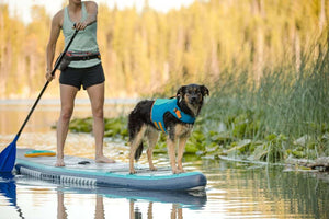 Ruffwear Float Coat on a dog on a paddleboard