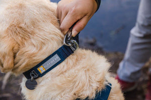 Front Range Dog Collar - Soft, Durable