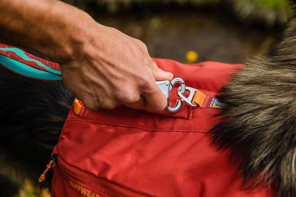 Ruffwear Front Range Dog Pack showing the back leash attachment clip