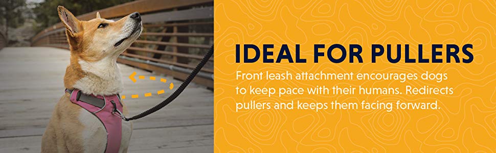 Ruffwear Front Range Harness tips on why it is a great training harness