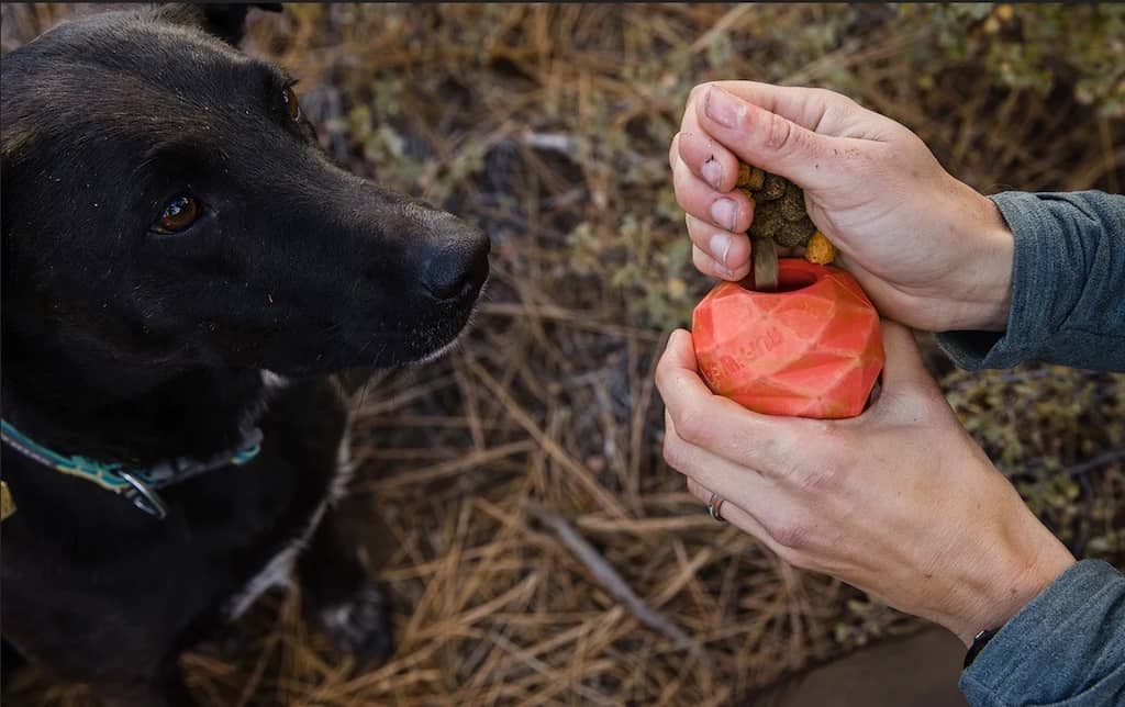 Ruffwear Gnawt-a-Cone Dog Toy in putting toys inside it