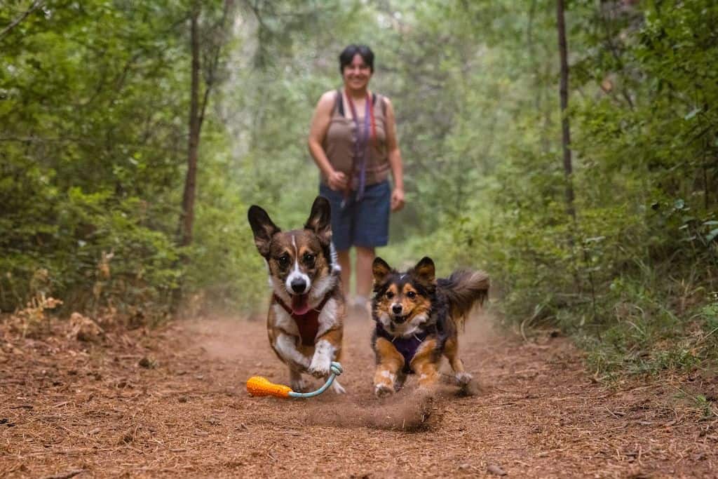 Ruffwear Gourdo Dog Toy Three Colours