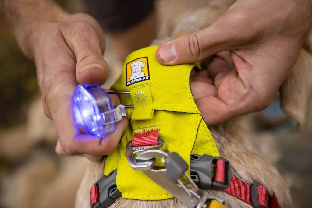 Ruffwear Hi & Light Harness showing point to attach Beacon light