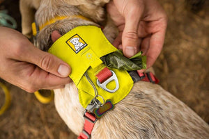 Ruffwear Hi & Light Harness showing back pocket