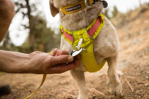 Ruffwear Hi & Light Harness showing front chest clip