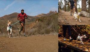 Ruffwear Hi & Light Harness collage of Lifestyle people of people with their dogs