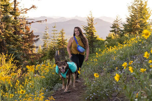 Ruffwear Home Trail Hip Pack in Heliotrope Purple lifestyle photo