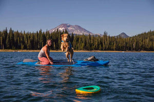 A Retriever diving into water to fetch a Ruffwear Hydro Plane Floating Dog Toy