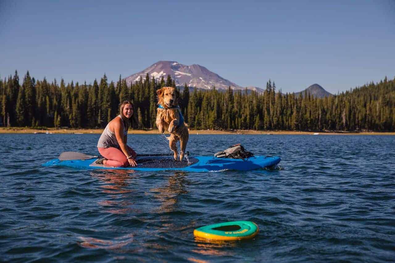 A Retriever diving into water to fetch a Ruffwear Hydro Plane Floating Dog Toy