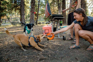 Ruffwear Hydro Plane Dog Toy playing Tug-o-War