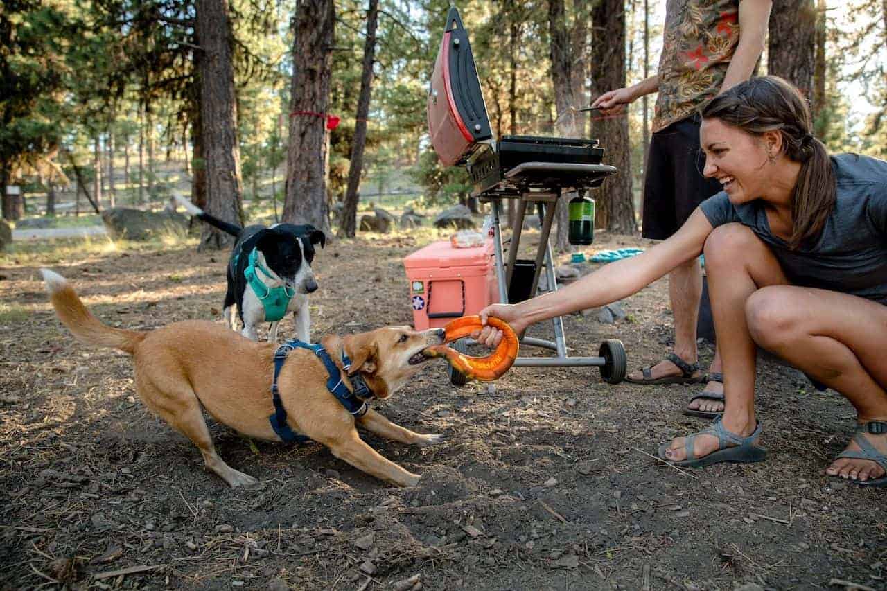 Ruffwear Hydro Plane Dog Toy playing Tug-o-War