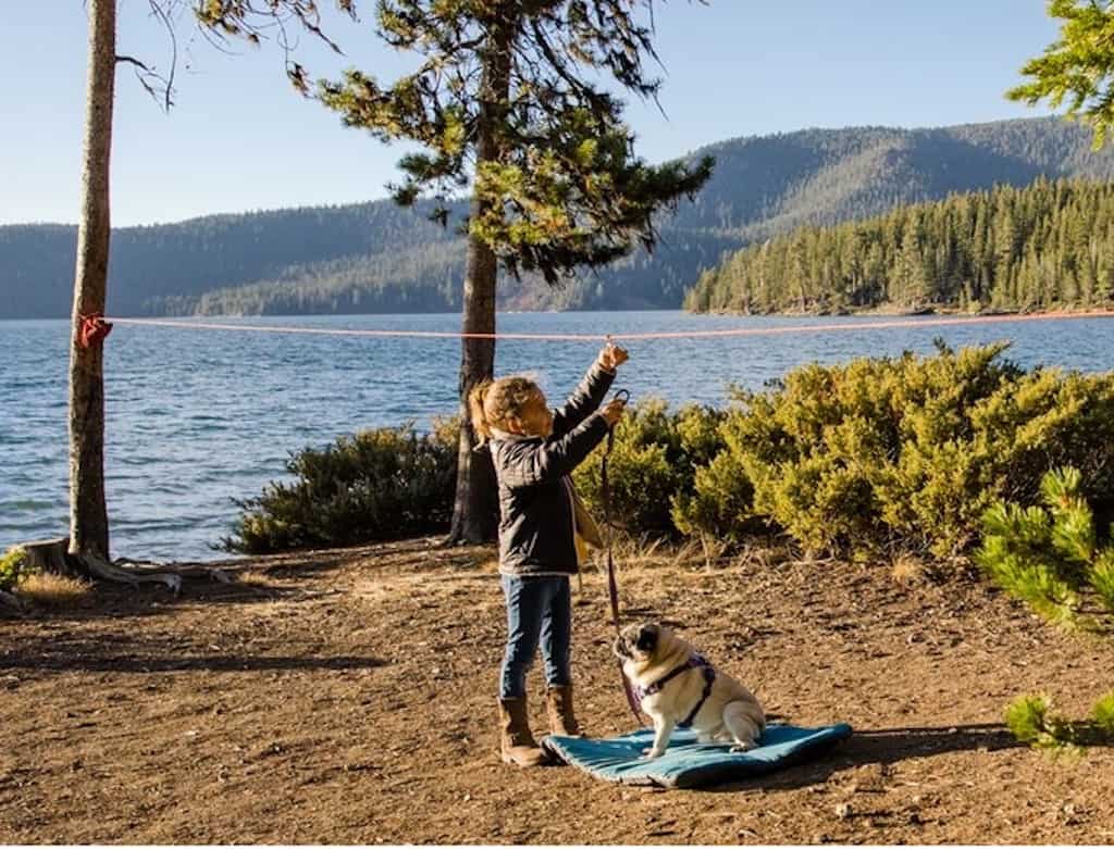 Ruffwear Knot-a-Hitch Overview of Whole System