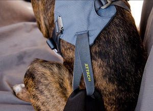 Load Up Dog Car Harness - Secure, Strong Harness