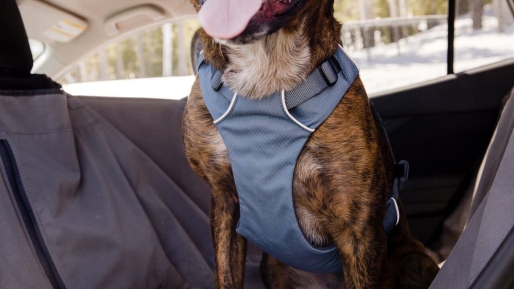 Load Up Dog Car Harness - Secure, Strong Harness