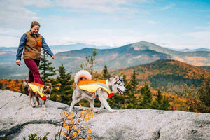 Ruffwear Lumenglow Hi Viz Dog Coat Lifestyle picture showing two Huskies in the jackets hiking in the mountains