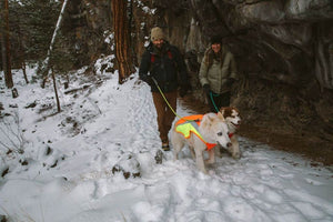 Ruffwear Lumenglow Hi Viz Dog Coat Lifestyle photo of dogs wearing them in the snow