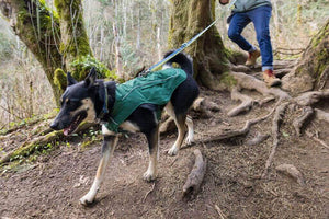 Overcoat Fuse Dog Jacket - Dog Coat with a Built-in Harness!