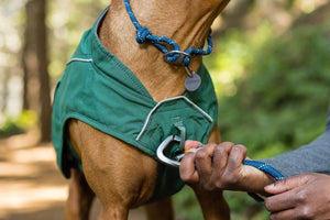 Overcoat Fuse Dog Jacket - Dog Coat with a Built-in Harness!