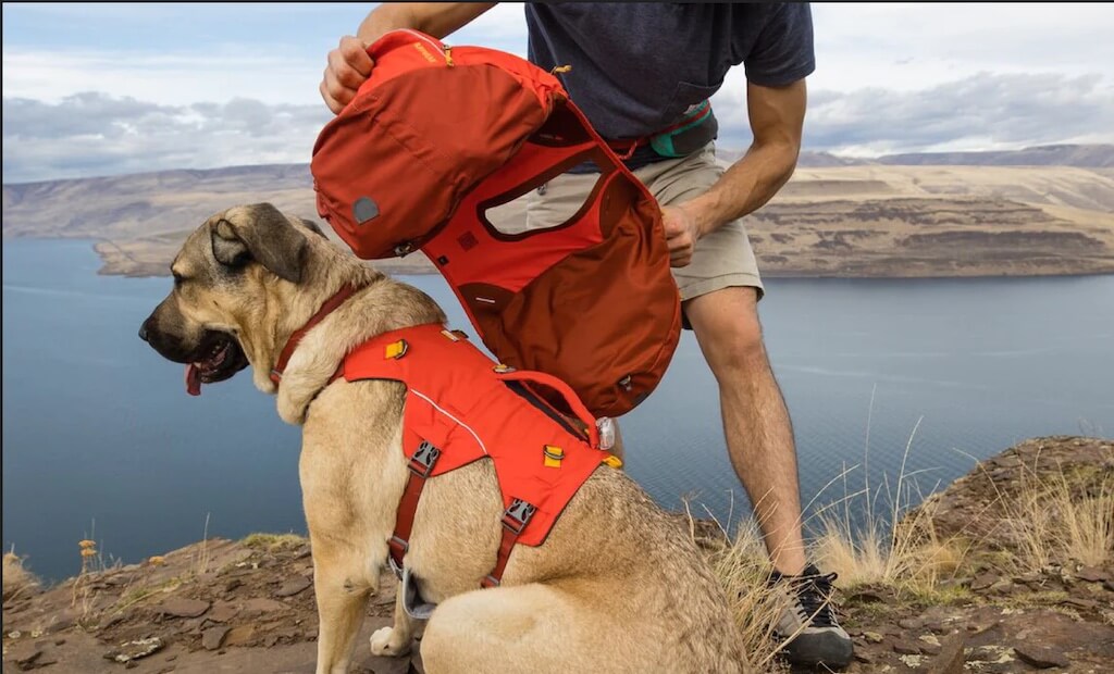 A red dog backpack called a Palisades Pack by Ruffwear with saddlebags and a padded back handle, designed for multi-day adventures.
