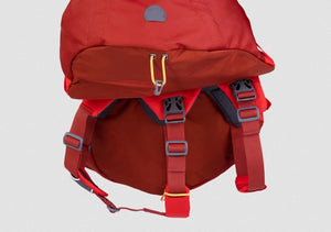 SALE! Palisades Pack - Premium Dog Backpack for Multi-Day & Backcountry Trips