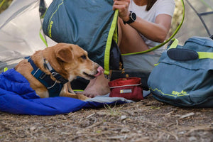 Ruffwear Quencher Bowl dog licking its lip watching food being poured into it