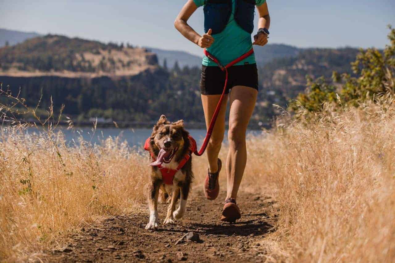 Ruffwear Roamer Leash Lifestyle shot showing running with it waist-worn