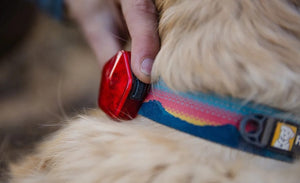Audible Beacon - Dog Safety Light with Sounds