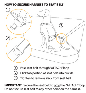 Load Up Dog Car Harness - Secure, Strong Harness