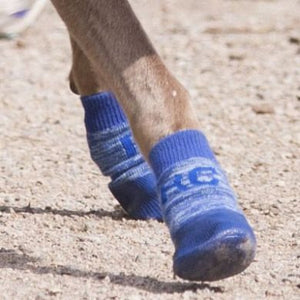 Sporty Pawks - Anti-Slip Dog Socks (Waterproof Sole)