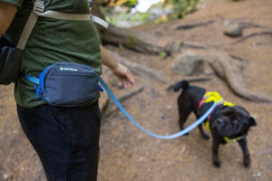 SALE! Stash Bag Plus - Attaches to Any Hands Free Leash