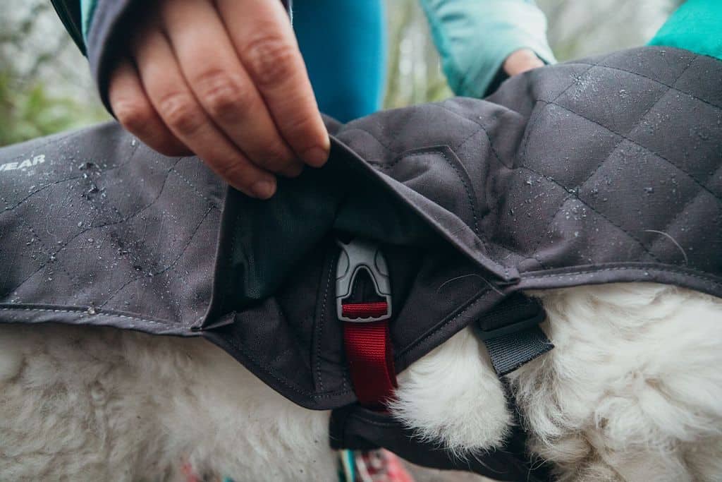 Ruffwear Stumptown Dog Jacket showing side release buckles