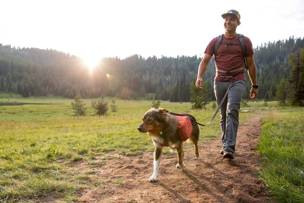 Switchbak Dog Leash - Multi-Function Dog Leash with Double Clips