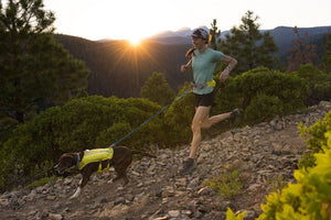 Ruffwear's Trail Running System in action.  The dog is wearing a Trail Runner Vest and the man a Trail Runner Belt.  They are joined by a Trail Runner Lead.