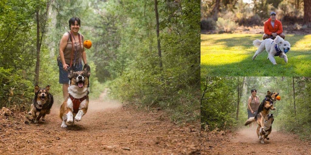 Ruffwear TurnUp Dog Toy Lifestyle Collage
