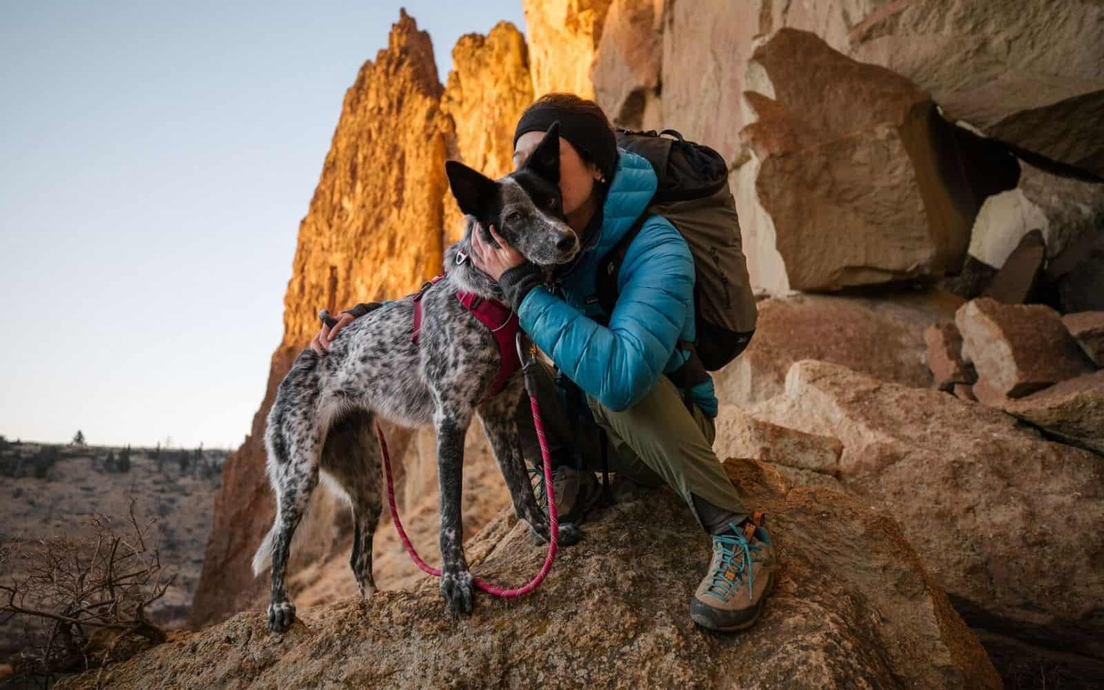 SALE & End of Line Clearance Products