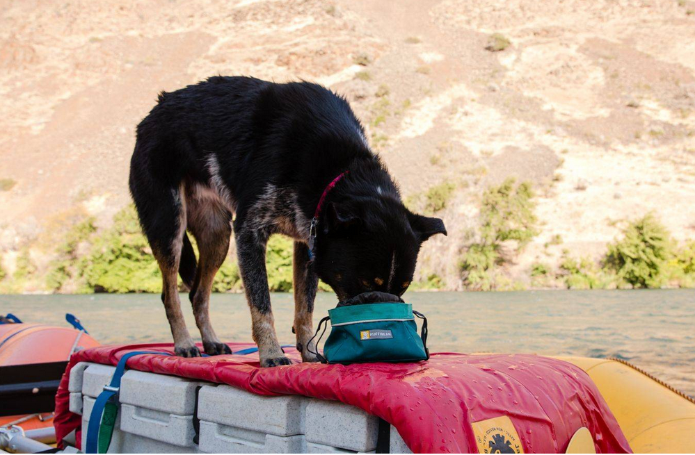 Travel Bowls & Beds